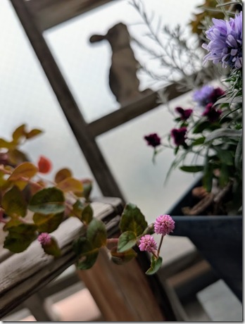 PXL_20251031_051725458