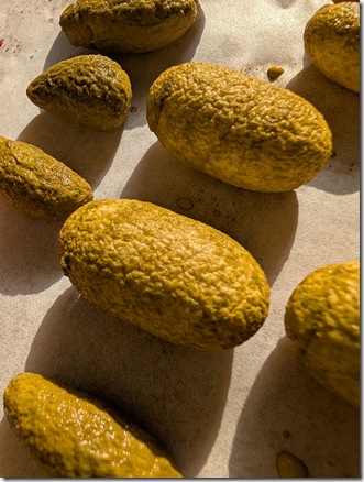 PXL_20260109_044315077