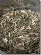 PXL_20260219_020240748